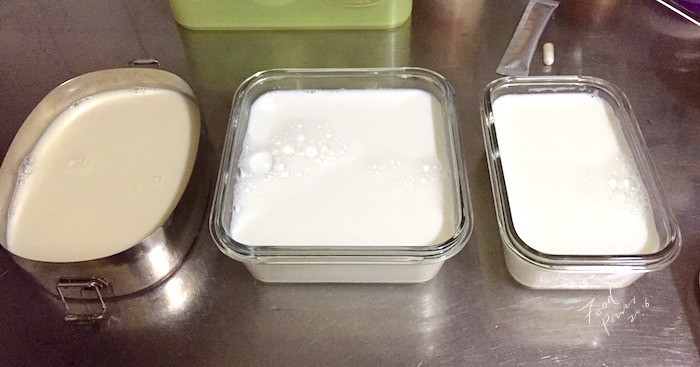 自製優格初體驗_2293