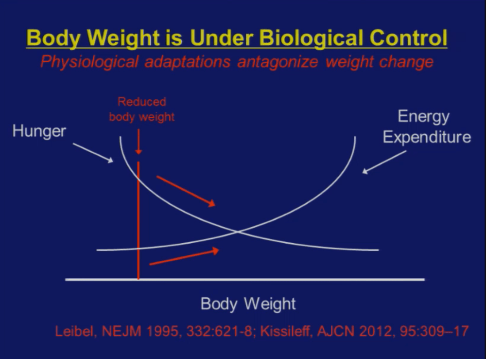 螢幕快照 2016-06-07 下午7.17.04