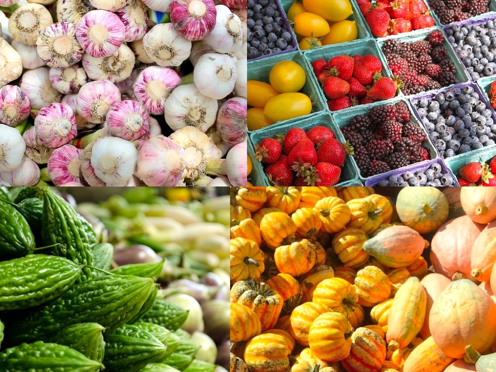 vege%e5%9c%96%e7%89%87-001