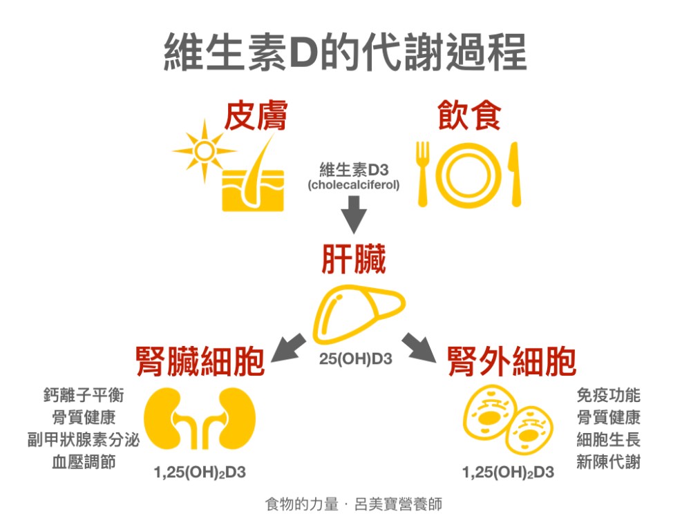 流感免疫課程 呂美寶 摘錄 2.002